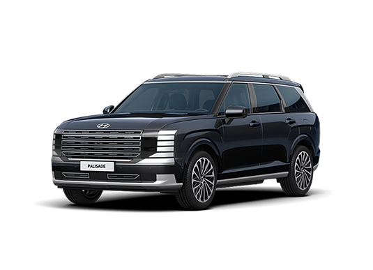 팰리세이드 이미지 12