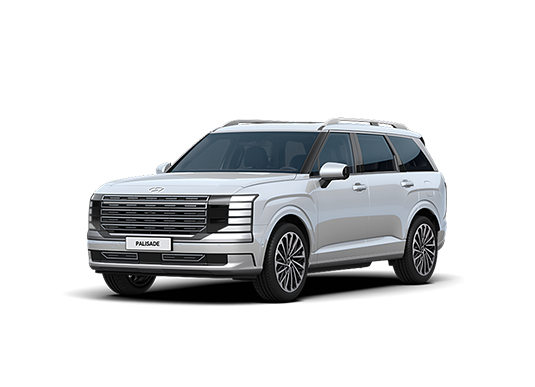 팰리세이드 이미지 17