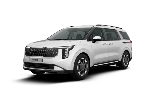 카니발 이미지 12