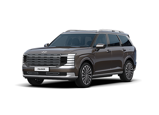 팰리세이드 이미지 13