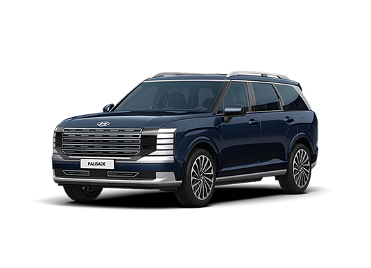 팰리세이드 이미지 14