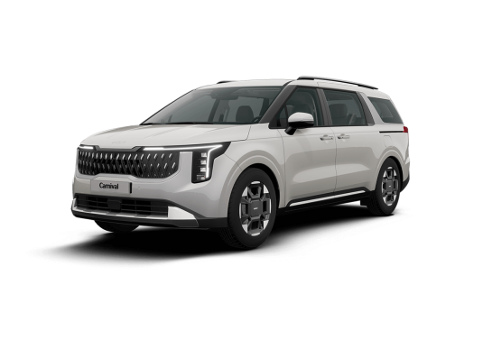 카니발 이미지 14